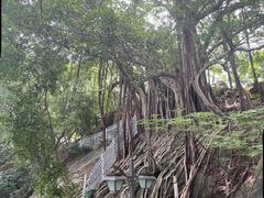 -乌山风景区