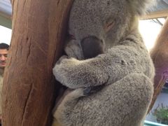 -费瑟代尔野生动物园