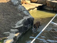 -无锡动物园·太湖欢乐园