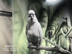 -未来动物城主题公园(正弘城店)