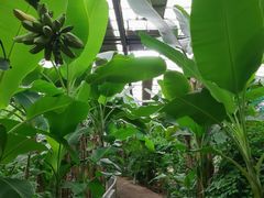 -第五季龙水凤港生态露营农场