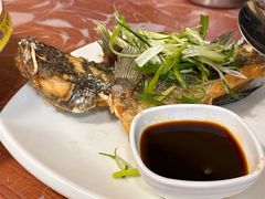 -富来美食(成发大厦店)