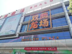 -双龙商场(环城南路店)