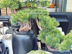 -BeauTea水仙(coco park店)