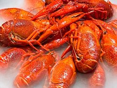 -日食记精菜馆(建邺万达店)