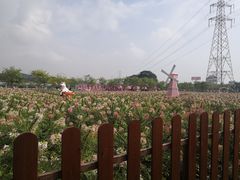 -盈香心动乐园