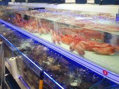 -盒马X会员店(上海森兰商都店)