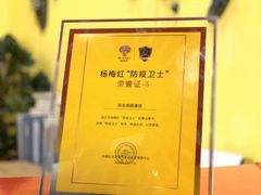 -杨梅红艺术教育(西安高新唐延教学中心)