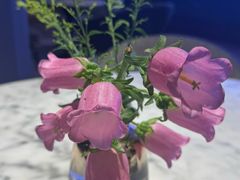 -犇腾牛排(苏州高铁吾悦店)