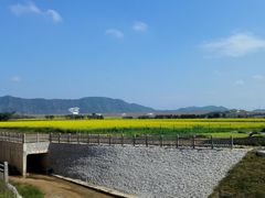 -光明小镇欢乐田园