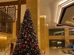 -北京首都机场希尔顿酒店