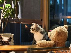 -咖法森林·咖啡  酒吧(天河店)