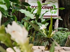 -大象粑粑造纸公园