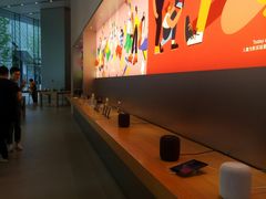 -Apple零售店(华贸购物中心店)