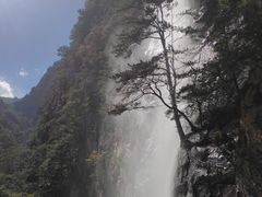 -青峰峡国家森林公园