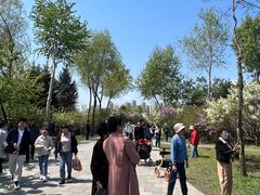 -群力丁香公园