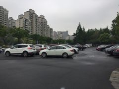 -大宁郁金香公园-停车场