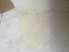 -申普宠物医院·心脏介入·心血管微创(总院)