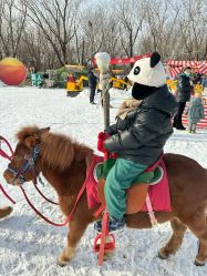 -268童话露营农场·烧烤·团建