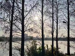 -海珠湖公园