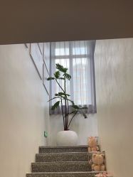 -三只熊皮肤管理中心旗舰店