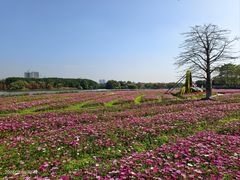 -海珠湖公园