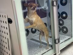 -FAELING PETS美天灵宠物(富力广场店)