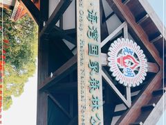 -上海海湾国家森林公园