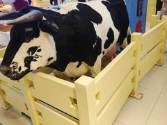 -红星前进面包牛奶公司(君太店)