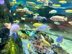 -长春中泰海洋世界