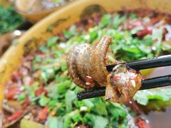 -乐山第一家临江鳝丝(茶坊路店)