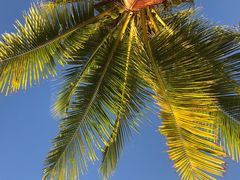 -The Sunny Side Cafe Station 1