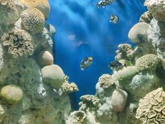 -福州罗源湾海洋世界旅游区