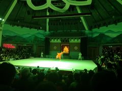 -嵩山少林文化旅游景区