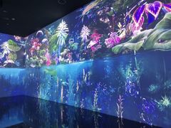-中国湿地博物馆