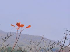 -周口店坡峰岭风景区