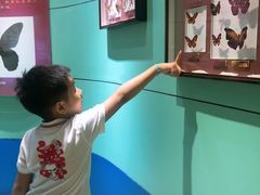 -上海昆虫博物馆