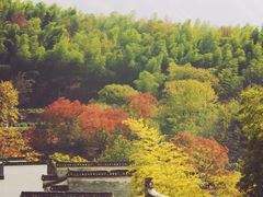-塔川景区