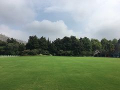 -听松楼·花园酒店·自助餐厅(红梅公园店)