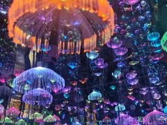 -梵高星空艺术馆(北京旗舰店)
