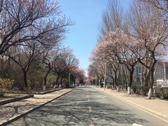 -吉林大学(南岭校区)
