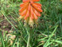 -贵阳市花溪国家城市湿地公园