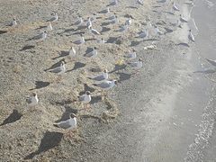 -班公湖