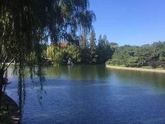 -钓鱼台国宾馆