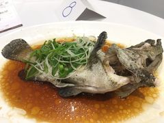 -彩福皇宴(皇室堡店)