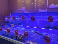 -七欣天香辣蟹火锅(苏州东大街店)