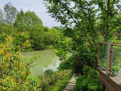 -桤木河湿地公园