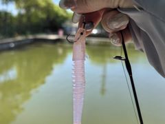 -新怡路亚垂钓园