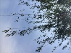 江湾湿地公园-新江湾城公园