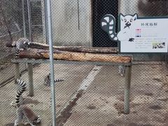 -合肥野生动物园